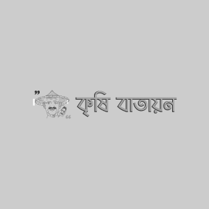 BU লাউ-১